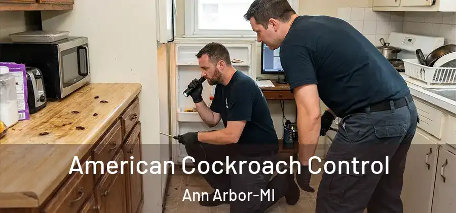  American Cockroach Control Ann Arbor-MI