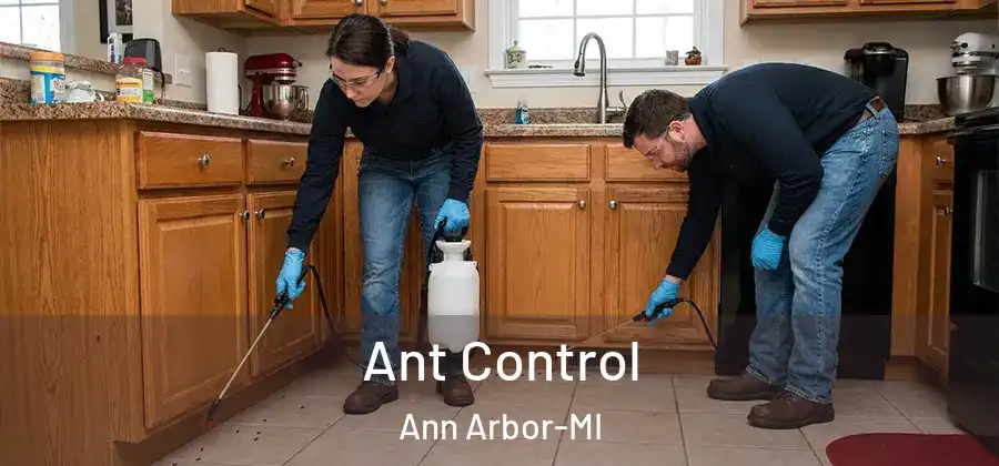  Ant Control Ann Arbor-MI