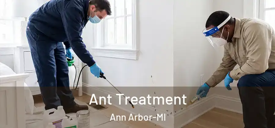 Ant Treatment Ann Arbor-MI