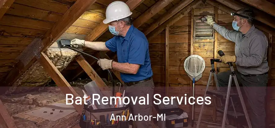 Bat Removal Services Ann Arbor-MI