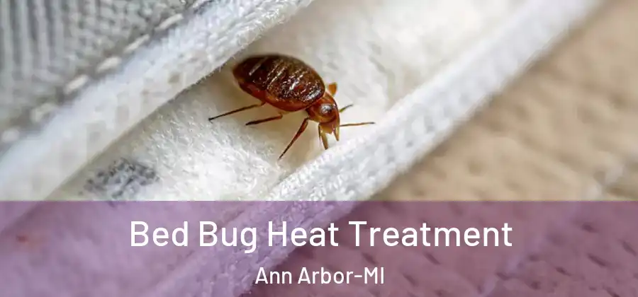  Bed Bug Heat Treatment Ann Arbor-MI