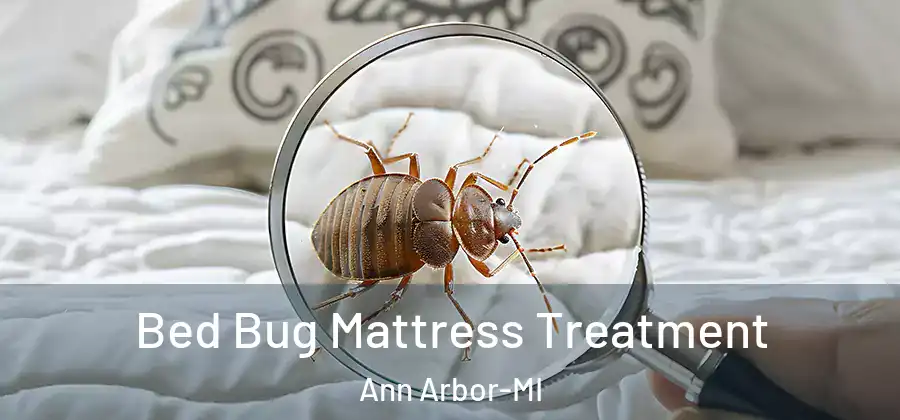  Bed Bug Mattress Treatment Ann Arbor-MI