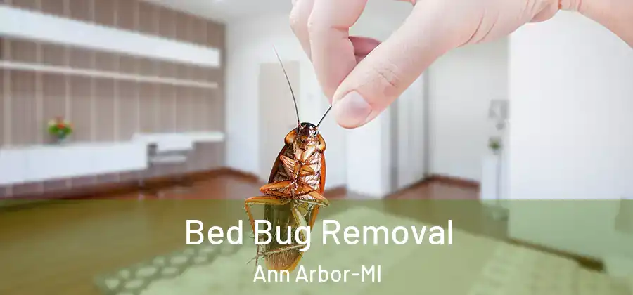  Bed Bug Removal Ann Arbor-MI