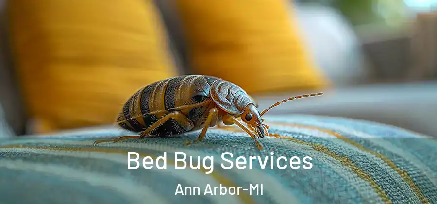  Bed Bug Services Ann Arbor-MI