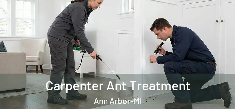  Carpenter Ant Treatment Ann Arbor-MI
