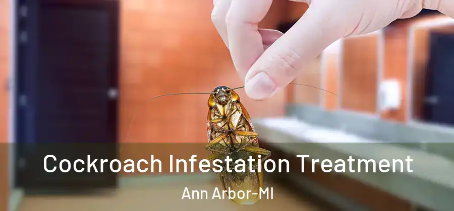  Cockroach Infestation Treatment Ann Arbor-MI
