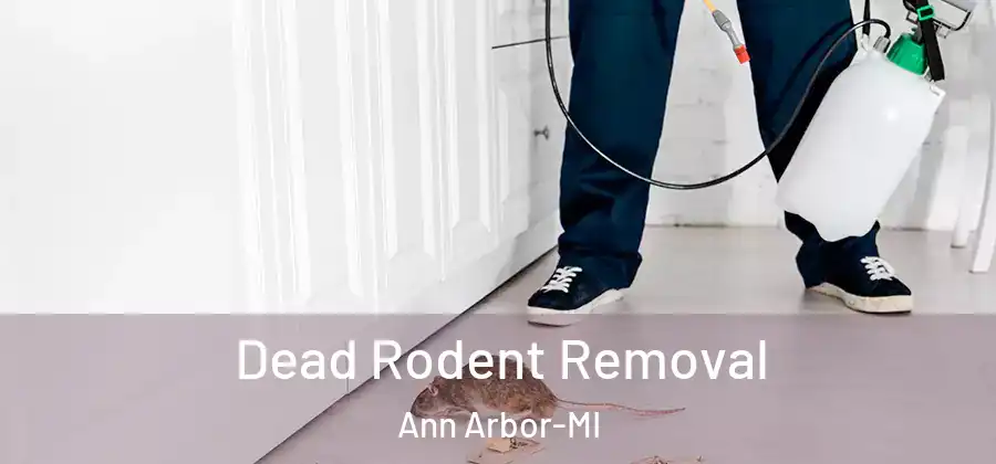  Dead Rodent Removal Ann Arbor-MI