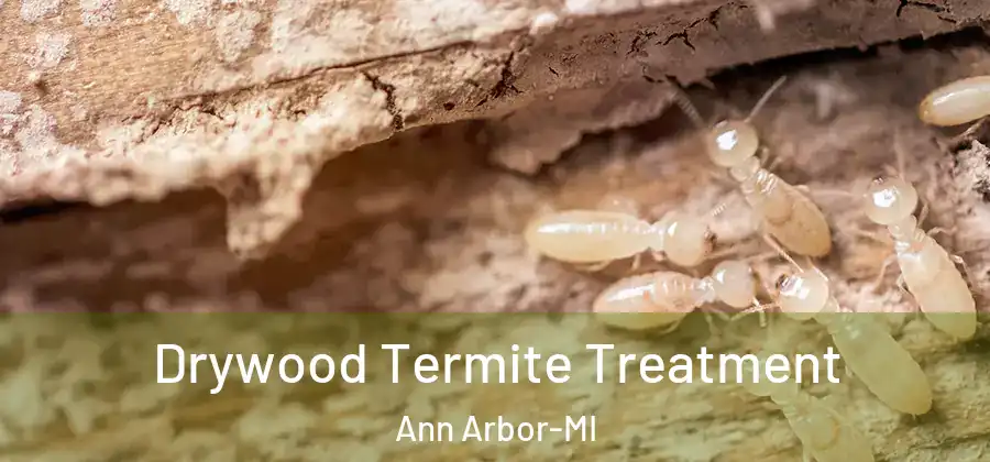 Drywood Termite Treatment Ann Arbor-MI