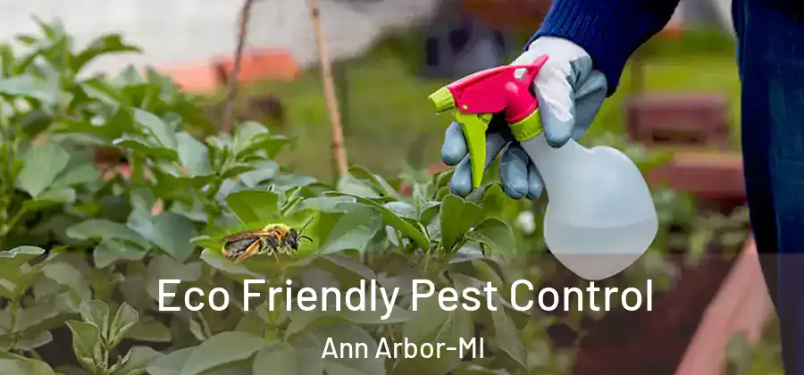 Eco Friendly Pest Control Ann Arbor-MI
