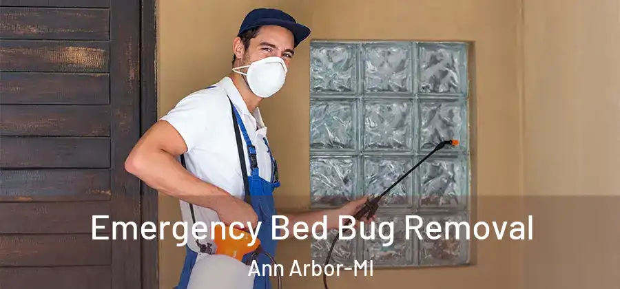 Emergency Bed Bug Removal Ann Arbor-MI
