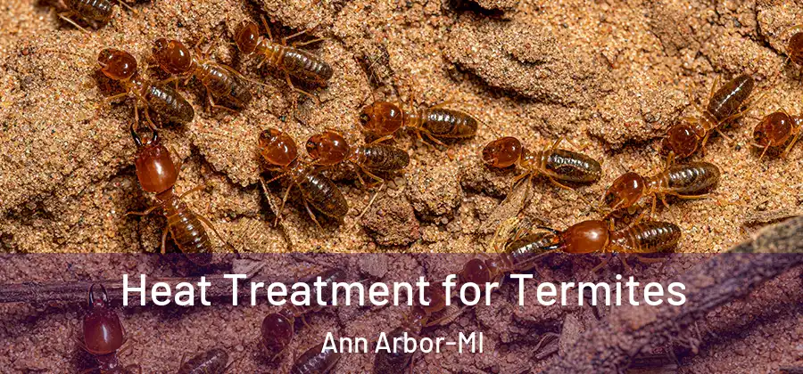  Heat Treatment for Termites Ann Arbor-MI