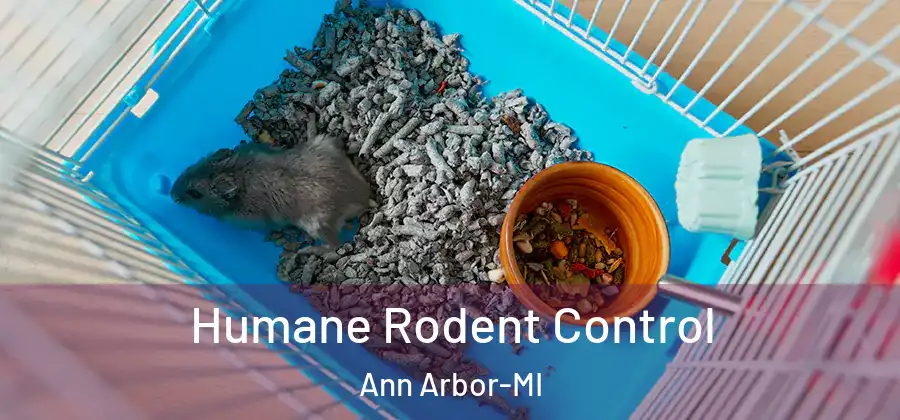 Humane Rodent Control Ann Arbor-MI