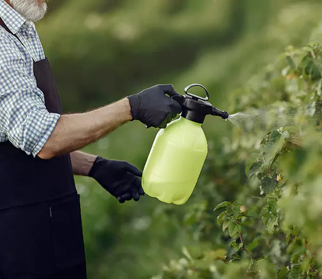 Your Proven Mosquito Treatment Company in Ann Arbor, MI