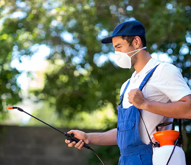 Your Trusted Flea and Tick Control in Ann Arbor, MI