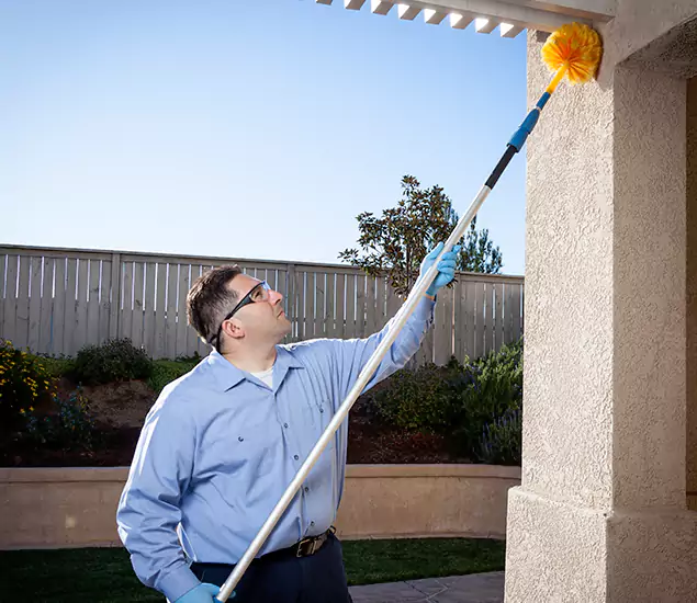 Trusted Experts in Ann Arbor MI for Formosan Termite Treatment and Black Termite Control