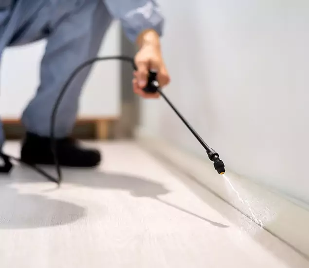 About Our Liquid Termite Treatment Experts in Ann Arbor, MI