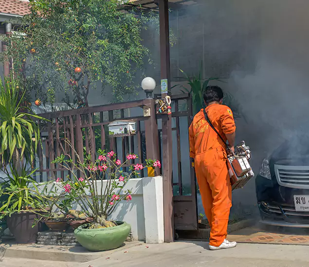 Your Proven Mosquito Fogging Company in Ann Arbor, MI