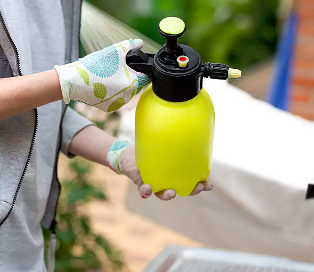 Skilled Residential Small Black Ant Service in Ann Arbor, MI