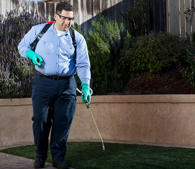 Reliable Termite Barrier Treatment Experts in Ann Arbor, MI