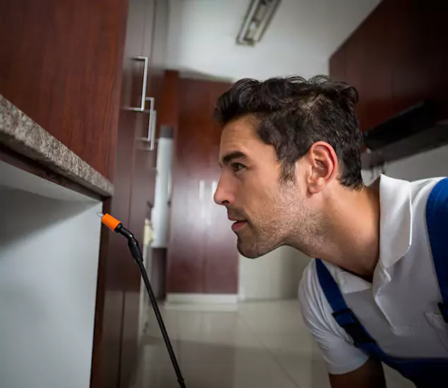 Termite Inspection Cost Experts You Can Trust in Ann Arbor, MI