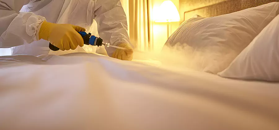 Bed Bug Steam Treatment Services in Ann Arbor