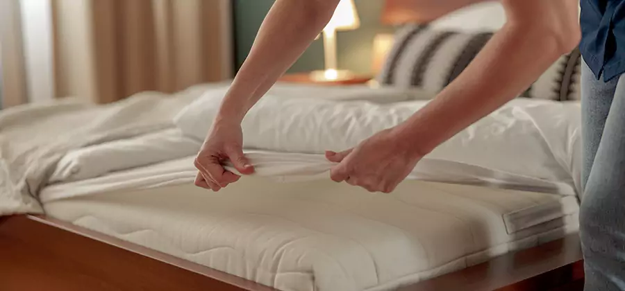 Bed Bug Extermination Services in Ann Arbor