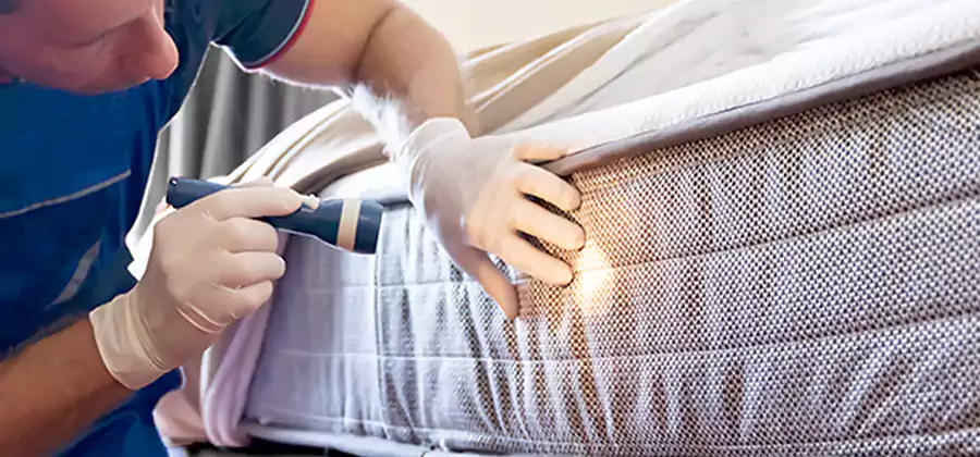Residential Bed Bug Treatment Cost in Ann Arbor