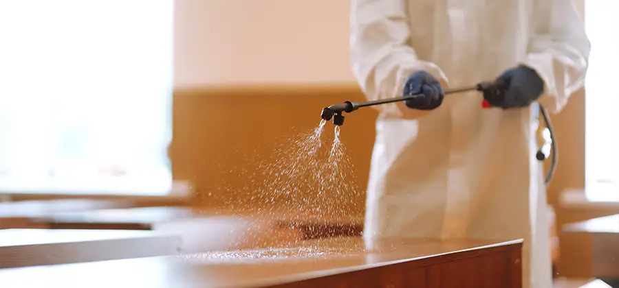 Residential Bed Bug Treatment Option in Ann Arbor