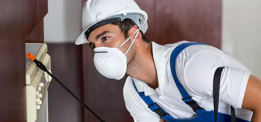 Injection Foam Treatment for Drywood Termites in Ann Arbor