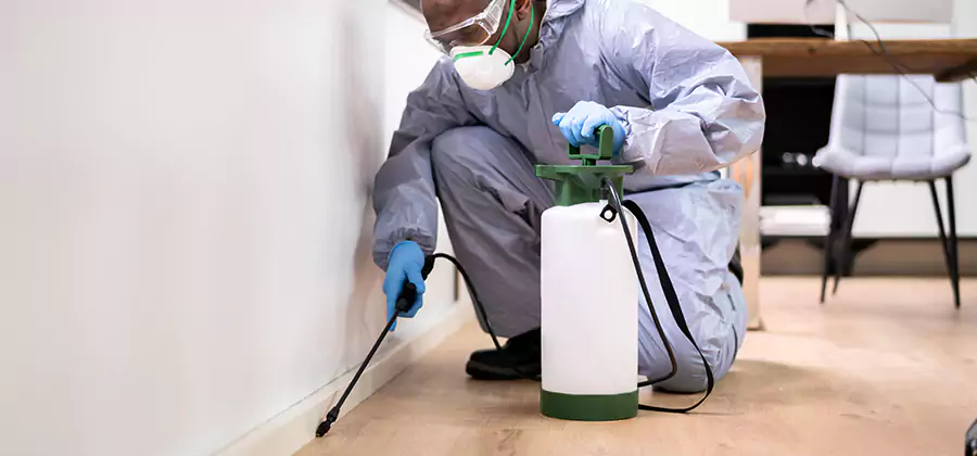 Long Lasting Mosquito Treatment in Ann Arbor