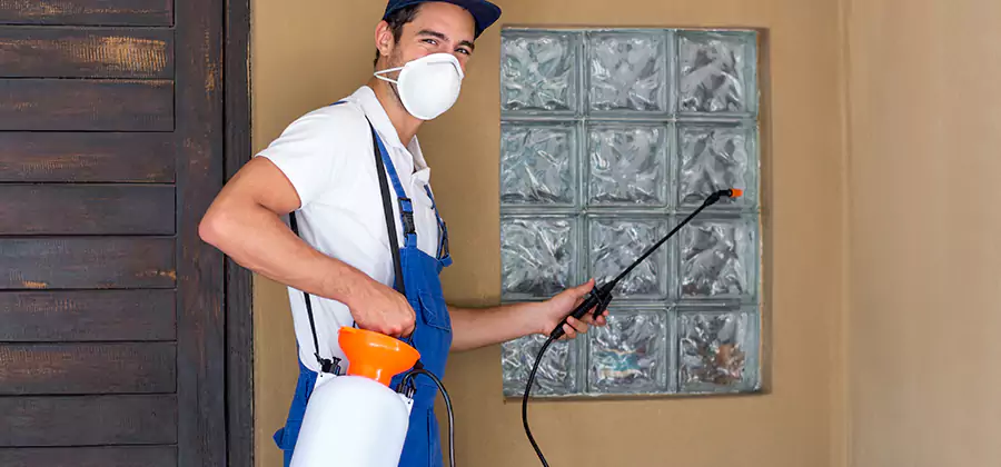 Pre-Construction Termite Treatment in Ann Arbor