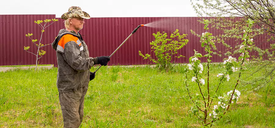 Flea and Tick Spray for Yard in Ann Arbor