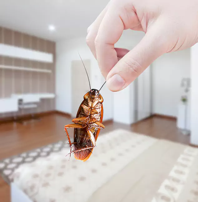 Why Ann Arbor Pest Control Pros Stand Out for Bed Bug Fumigation in Ann Arbor, MI?