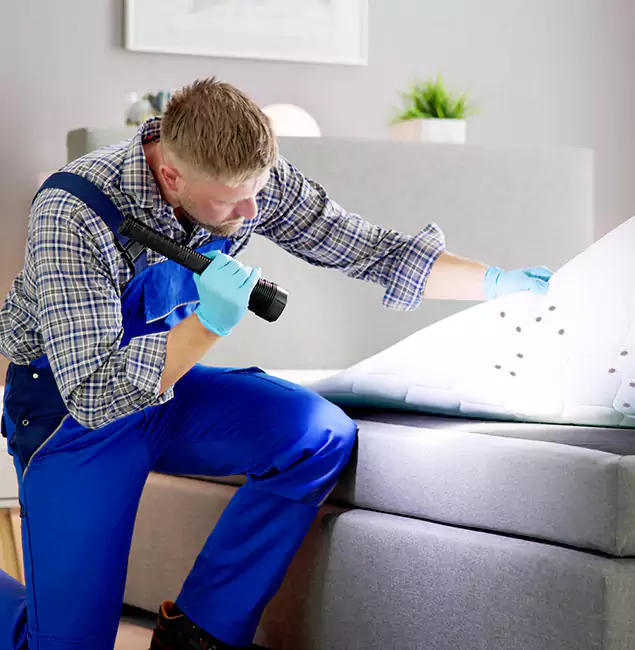 Why Choose Ann Arbor Pest Control Pros For Bed Bug Heat Treatment in Ann Arbor, MI?
