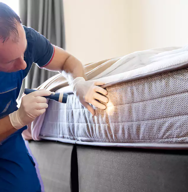 Why Choose Ann Arbor Pest Control Pros for Bed Bug Services in Ann Arbor, MI?