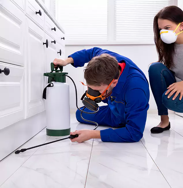 Why Choose Ann Arbor Pest Control Pros in Ann Arbor, MI?