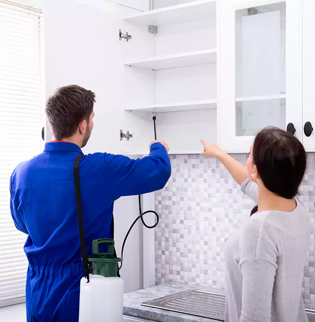 Why Choose Ann Arbor Pest Control Pros for Exterminator Services in Ann Arbor, MI?