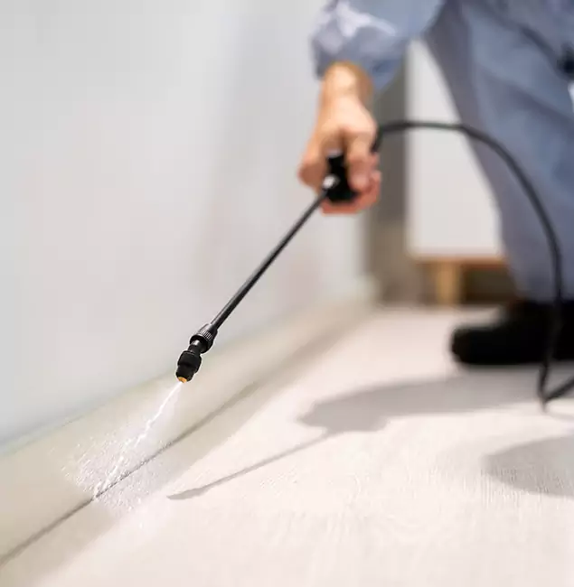 Why Choose Ann Arbor Pest Control Pros for Termite Treatment in Ann Arbor, MI?