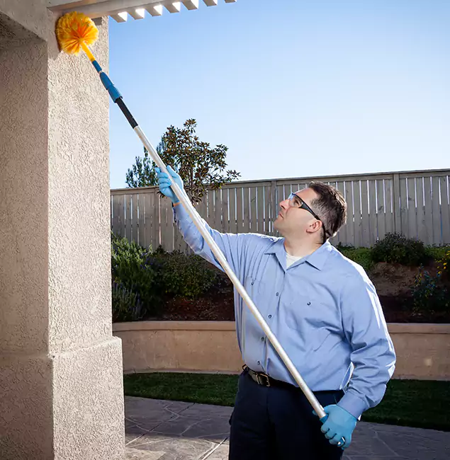 Why Choose Ann Arbor Pest Control Pros for Foundation Termite Treatment in Ann Arbor, MI?