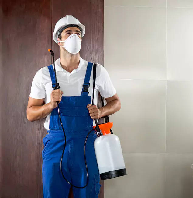 Why Choose Us for Heat Treatment for Termites in Ann Arbor, MI?