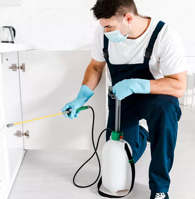Why Choose Ann Arbor Pest Control Pros for Indoor Pest Control in Ann Arbor, MI?