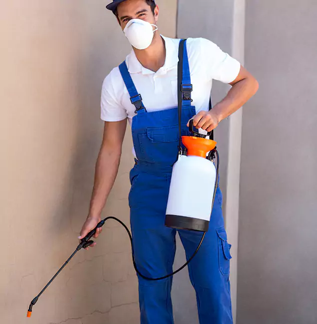 What Makes Ann Arbor Pest Control Pros the Right Choice in Ann Arbor, MI?