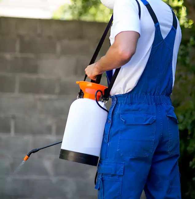 Why Ann Arbor Homeowners Rely on Ann Arbor Pest Control Pros for Mosquito Control?