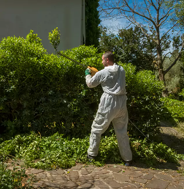 Why Ann Arbor Pest Control Pros Leads Mosquito Control in Ann Arbor, MI?