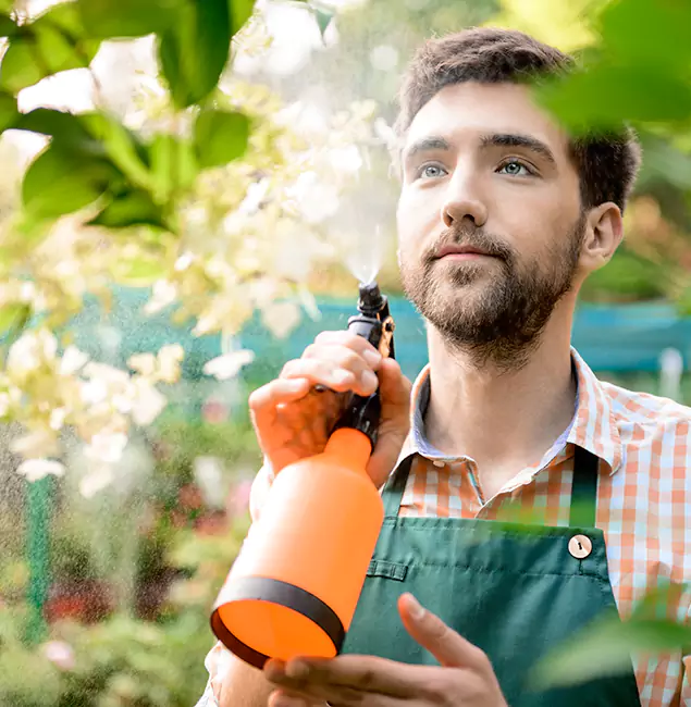 Why Ann Arbor Pest Control Pros Is the Best Mosquito Control Company in Ann Arbor, MI?