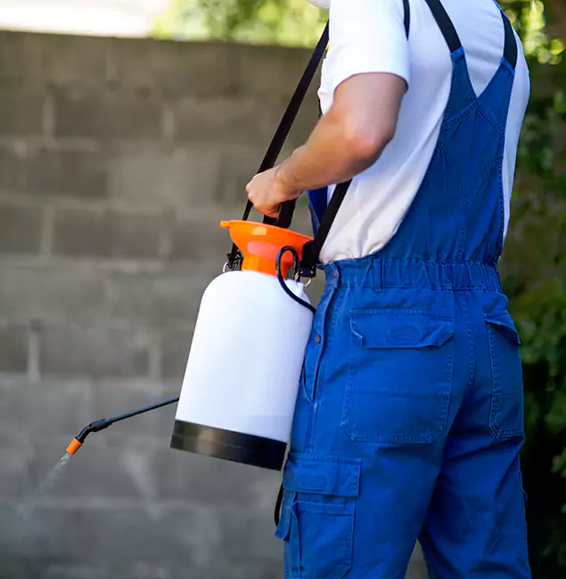 Why Ann Arbor Pest Control Pros Delivers the Best Mosquito Control in Ann Arbor, MI?