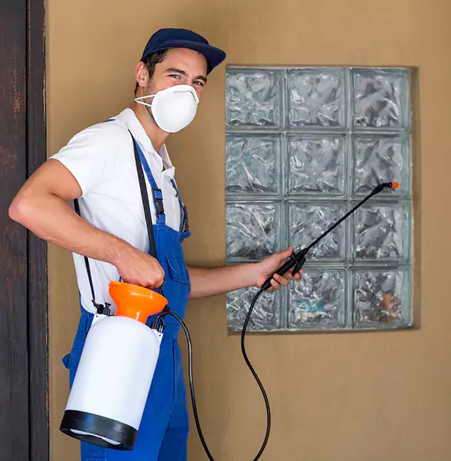 Why Ann Arbor Pest Control Pros Provides the Best Mosquito Control for Yard Properties in Ann Arbor, MI?