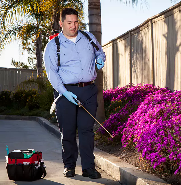 Why Choose Ann Arbor Pest Control Pros in Ann Arbor, MI?