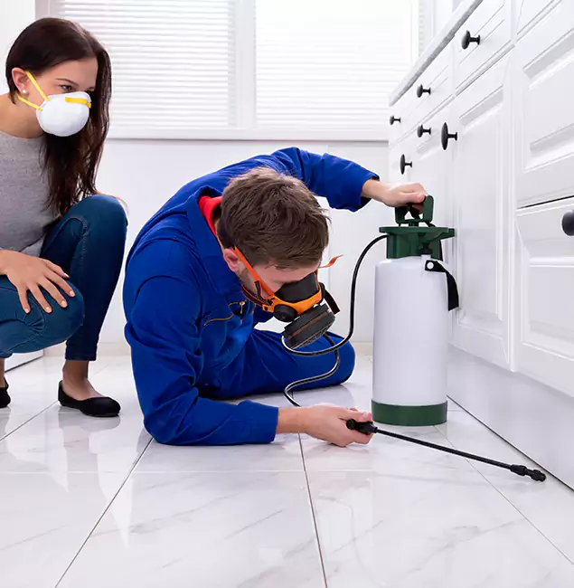 Why Choose Ann Arbor Pest Control Pros in Ann Arbor, MI?
