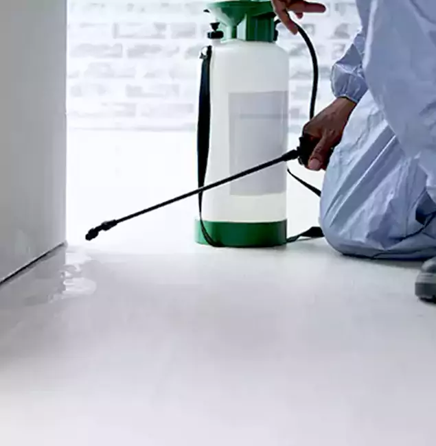 Why Choose Ann Arbor Pest Control Pros for Rat Exterminator in Ann Arbor, MI?